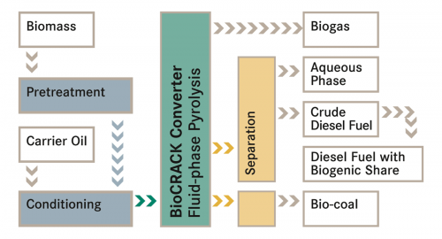 Source: OMV and BDI - BioEnergy International AG