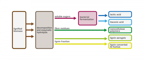 Diagram: University of Natural Resources and Life Sciences BOKU, Vienna