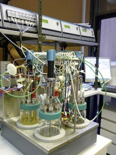 A laboratory fermentation unit in which the yeast performs this conversion. All photos: University of Natural Resources and Life Sciences, Vienna, Department of Biotechnology