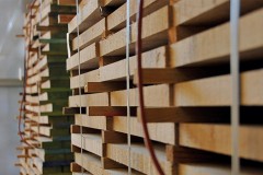 Rohstoff Holz. Foto FH Salzburg