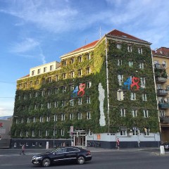 Best-practice example of façade greening in Vienna, photo: GRÜNSTATTGRAU