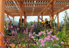 PV over roof garden, BOKU in Vienna, photo: GRÜNSTATTGRAU, Dusty Gedge