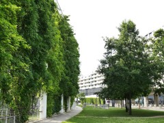 Green infrastructure, Viertel Zwei, 1020 Vienna, photo: Waldhör KG