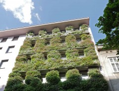 Begrünte Fassade, 1150 Wien, Foto: Waldhör KG