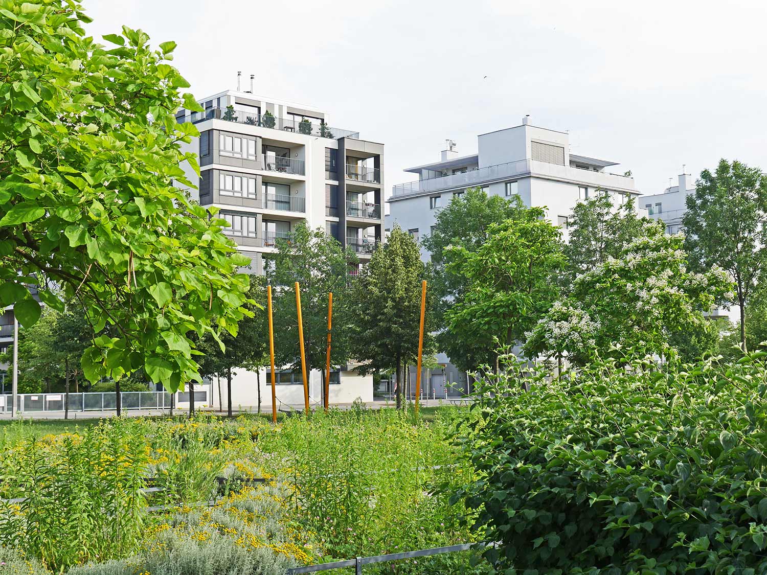 Begrüntes Stadtquartier, Foto: Waldhör KG