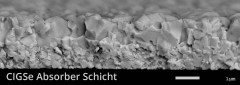Rasterelektronenmikroskopaufnahme eines Querschnittes einer CIGS Absorber Schicht, Foto: Universität Innsbruck