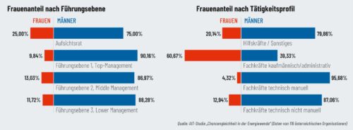 Quelle: AIT-Studie „Chancengleichheit in der Energiewende“ (Daten von 116 österreichischen Organisationen)