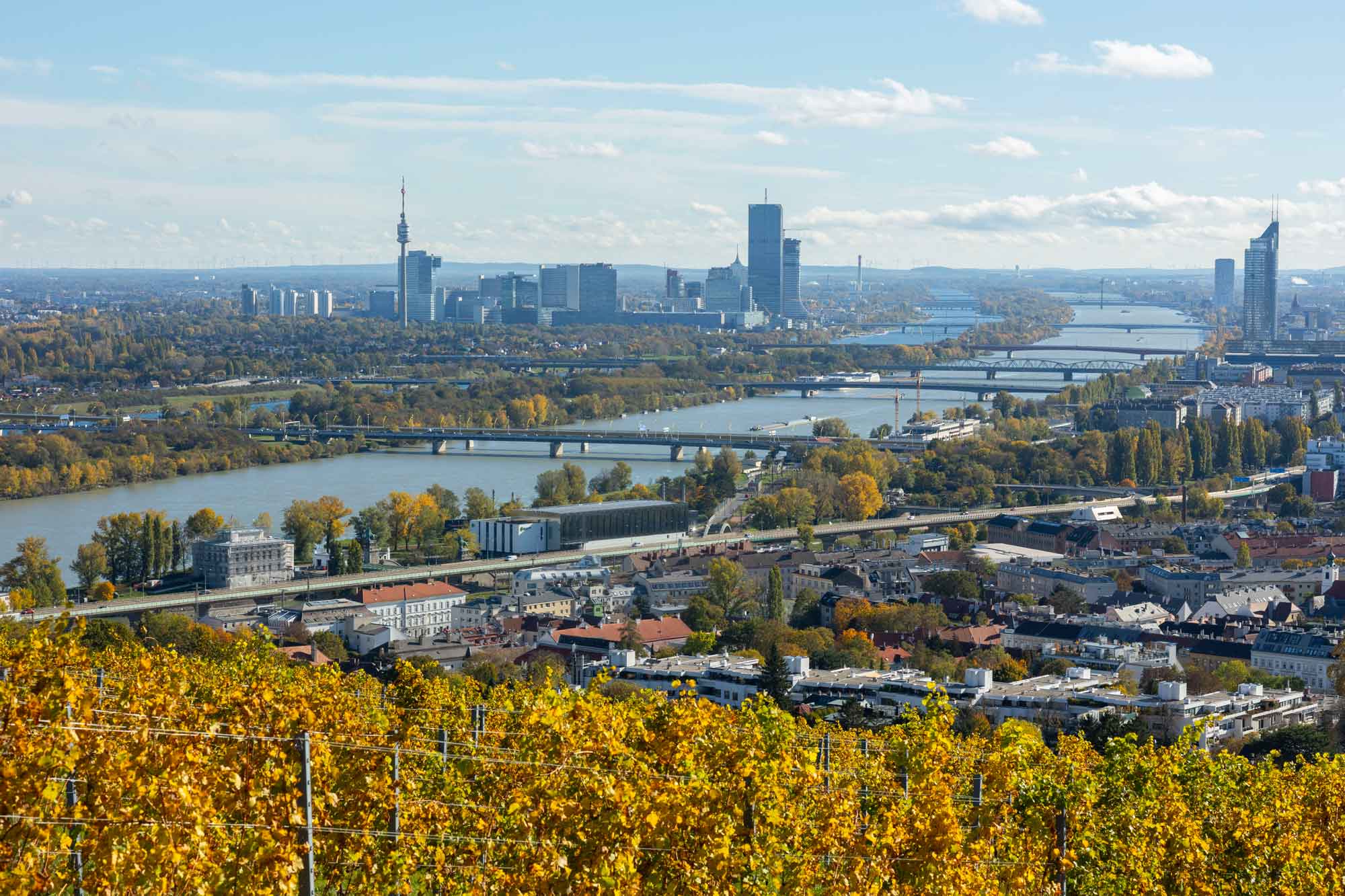 Blick über Wien