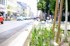 Thaliastraße Begrünung